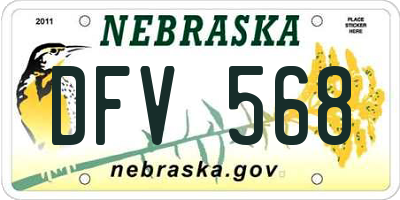 NE license plate DFV568