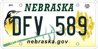 NE license plate DFV589