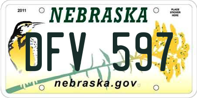 NE license plate DFV597