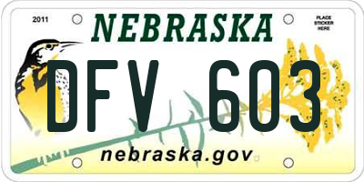 NE license plate DFV603