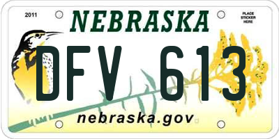 NE license plate DFV613
