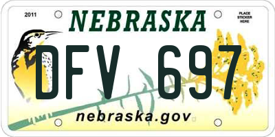 NE license plate DFV697