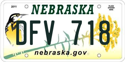 NE license plate DFV718