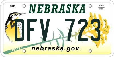 NE license plate DFV723