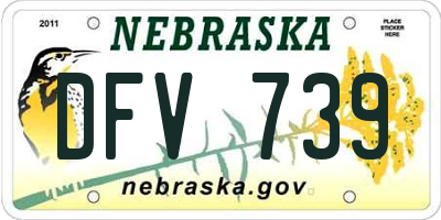 NE license plate DFV739