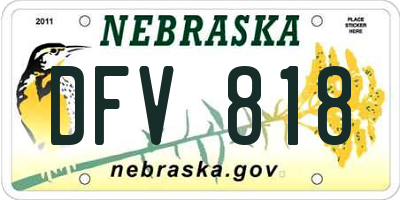 NE license plate DFV818