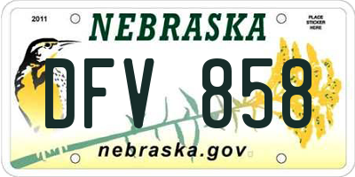 NE license plate DFV858