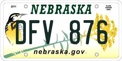NE license plate DFV876