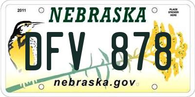 NE license plate DFV878