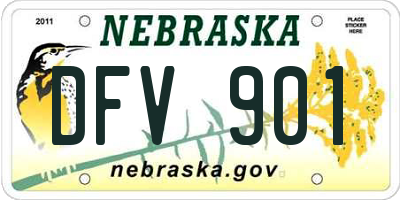 NE license plate DFV901