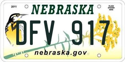 NE license plate DFV917