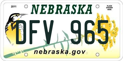 NE license plate DFV965