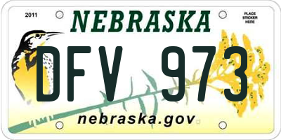 NE license plate DFV973
