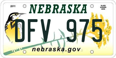 NE license plate DFV975