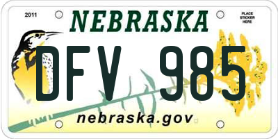 NE license plate DFV985