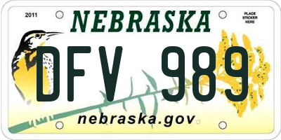 NE license plate DFV989