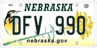 NE license plate DFV990