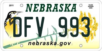 NE license plate DFV993
