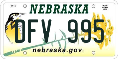 NE license plate DFV995