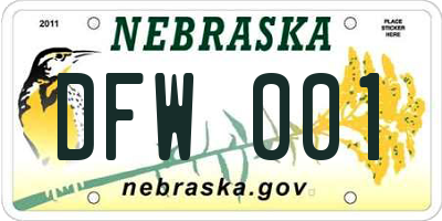 NE license plate DFW001