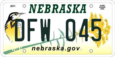 NE license plate DFW045