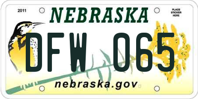 NE license plate DFW065