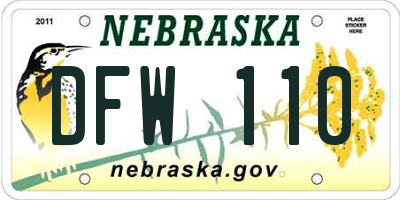 NE license plate DFW110