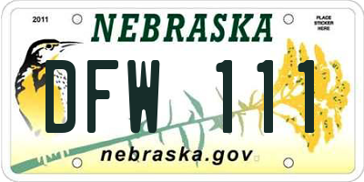 NE license plate DFW111