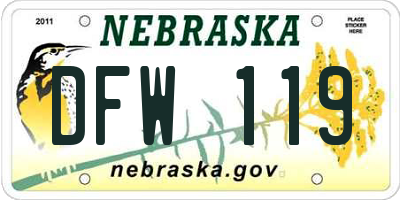 NE license plate DFW119