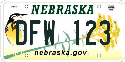 NE license plate DFW123