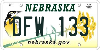 NE license plate DFW133