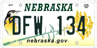 NE license plate DFW134