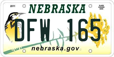NE license plate DFW165