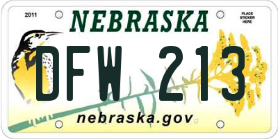 NE license plate DFW213