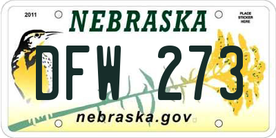 NE license plate DFW273