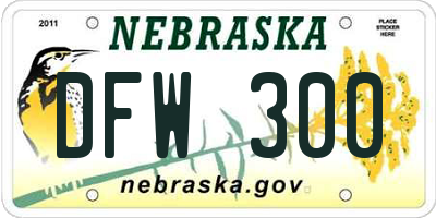 NE license plate DFW300