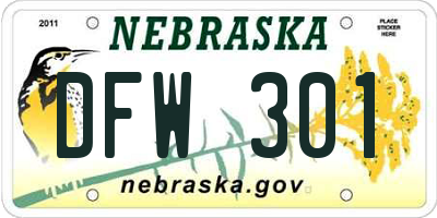NE license plate DFW301
