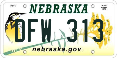 NE license plate DFW313