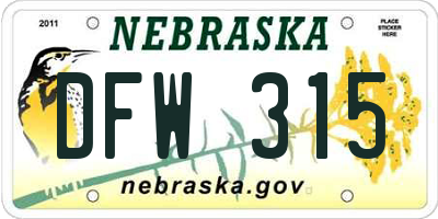 NE license plate DFW315