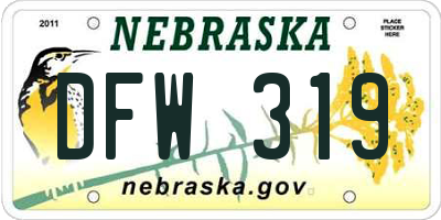 NE license plate DFW319