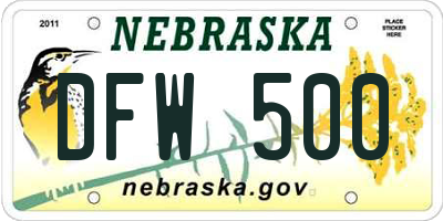 NE license plate DFW500