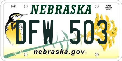 NE license plate DFW503