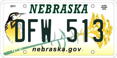 NE license plate DFW513