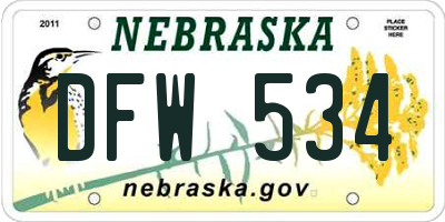NE license plate DFW534