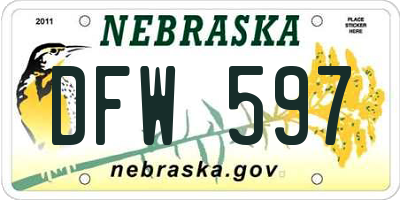 NE license plate DFW597