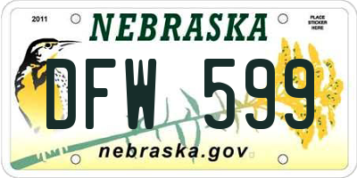 NE license plate DFW599