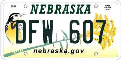 NE license plate DFW607