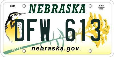 NE license plate DFW613