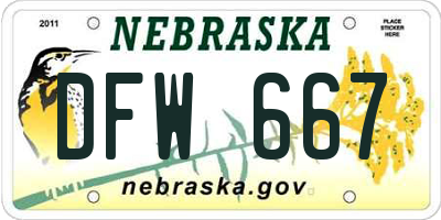 NE license plate DFW667