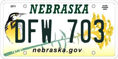 NE license plate DFW703